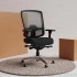 BERGMANN Mesh High Back Ergonomic Office Chair with Lumbar Support