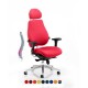 ERGO-MODE ULTIMATE 24 Hour Multi Function Ergonomic Office Chair, COLOUR SEAT + BACK