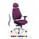 ERGO-MODE ULTIMATE 24 Hour Multi Function Ergonomic Office Chair, COLOUR SEAT + BACK