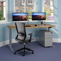 LINEA ECO Economy Electric Sit Stand Desk. Single Motor Height Adjustable Desk