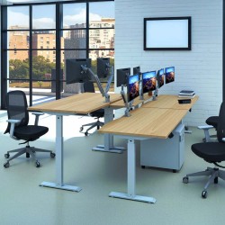 LINEA ECO Economy Electric Sit Stand Desk. Single Motor Height Adjustable Desk