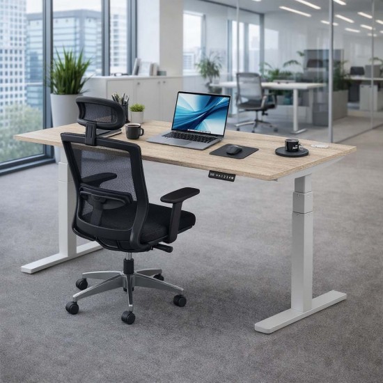 LUFT PRO Professional Grade Electric Sit Stand Desk. Dual Motor Height Adjustable Desk