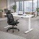 LUFT PRO Professional Grade Electric Sit Stand Desk. Dual Motor Height Adjustable Desk