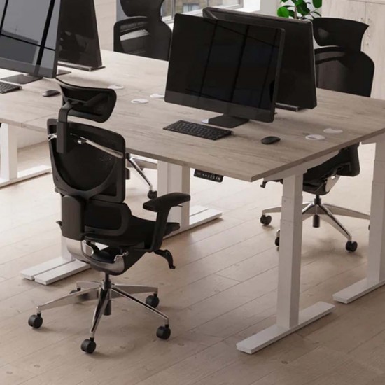 LUFT PRO Professional Grade Electric Sit Stand Desk. Dual Motor Height Adjustable Desk