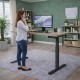 LUFT LITE Essential Performance Electric Sit Stand Desk. Single  Motor Height Adjustable Desk