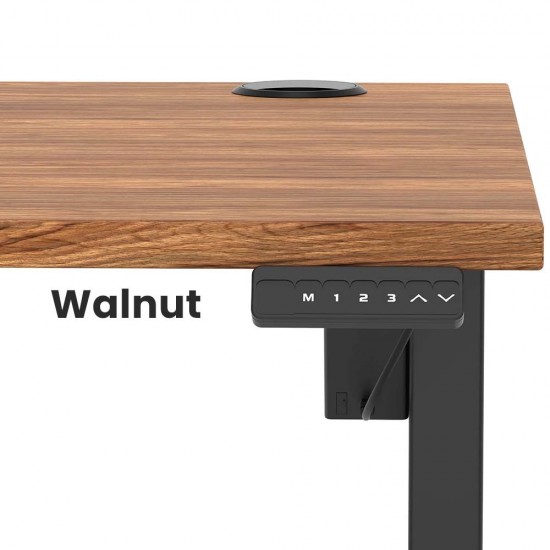 LUFT LITE Essential Performance Electric Sit Stand Desk. Single  Motor Height Adjustable Desk