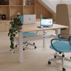 LUFT PRO 2-Person Back-To-Back Professional Grade Height Adjustable Desk. LUFT PRO 2-Person Back-To-Back Professional Grade Height Adjustable Desk.