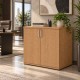 PACIFIC Desk High 600mm Deep Wooden Office Storage Cupboard