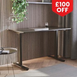 RISE 1 Electric Sit Stand Desk. Dual Motor Height Adjustable Desk, 1200mm
