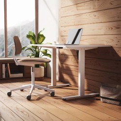 RISE LITE Compact Single Motor Height Adjustable Standing Desk RISE LITE Compact Single Motor Height Adjustable Standing Desk