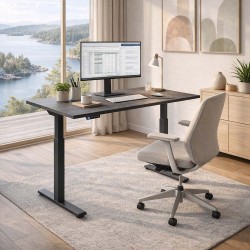RISE 1 Professional Dual Motor Scandinavian Height Adjustable Standing Desk RISE 1 Professional Dual Motor Scandinavian Height Adjustable Standing Desk