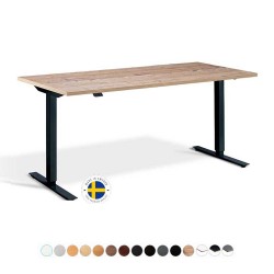 RISE 1 Dual Motor Rectangular Electric Height Adjustable Standing Desk, 1600mm RISE 1 Dual Motor Rectangular Electric Height Adjustable Standing Desk, 1600mm