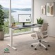 RISE 2 Dual Motor Height Adjustable Electric Stand Up Desk, 1400mm
