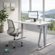 RISE 2 Dual Motor Height Adjustable Electric Stand Up Desk, 1400mm