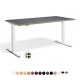 RISE 2 Dual Electric Motor Adjustable Height Standing Desk, 1600mm