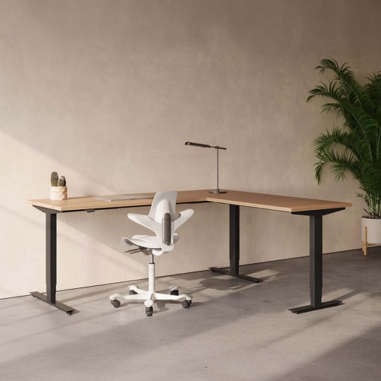 RISE 3 Electric Sit Stand Height Adjustable Corner Desk, 1600x1600mm