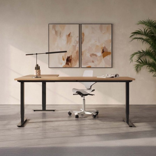 RISE 3 Electric Sit Stand Height Adjustable Corner Desk, 1600x1600mm