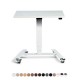 RISE FX Mobile Electric Height Adjustable Table