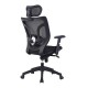 LUND High Back Mesh Ergonomic Office Chairs with Headrest