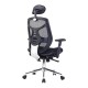 LUZERN Mesh Ergonomic High Back Executive Office Chair