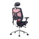 LUZERN Mesh Ergonomic High Back Executive Office Chair