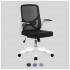 SPRITE Foldable Mesh Office Chair with Folding Arms