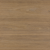 Swiss Elm 