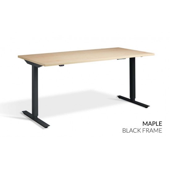 RISE 1 Dual Motor Rectangular Electric Height Adjustable Stand Up Desk, 1400mm