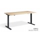 RISE 2 Dual Motor Height Adjustable Electric Stand Up Desk, 1400mm