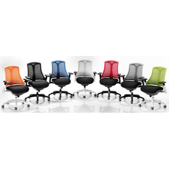 CITRO -Contemporary Ergonomic Office Chair, GREY Backrest