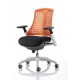 CITRO Contemporary Multicolour Ergonomic Office Task Chairs