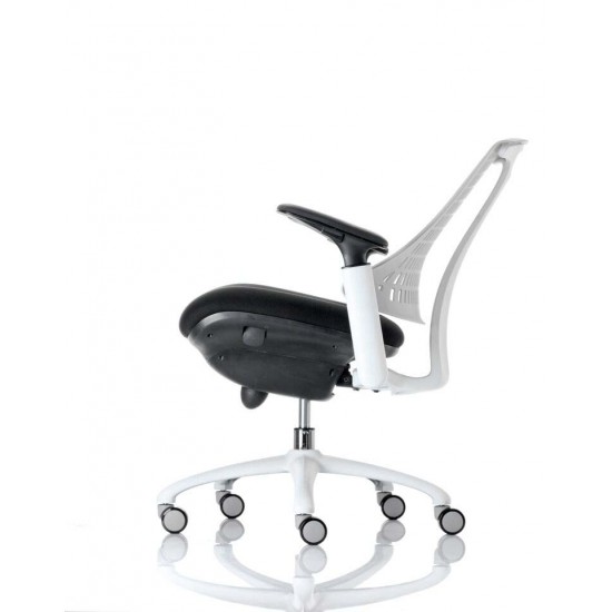 CITRO -Contemporary Ergonomic Office Chair, GREY Backrest