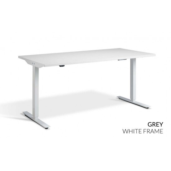 RISE 1 Electric Sit Stand Desk. Dual Motor Height Adjustable Desk, 1200mm