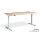 RISE 1 Dual Motor Rectangular Electric Height Adjustable Stand Up Desk, 1400mm